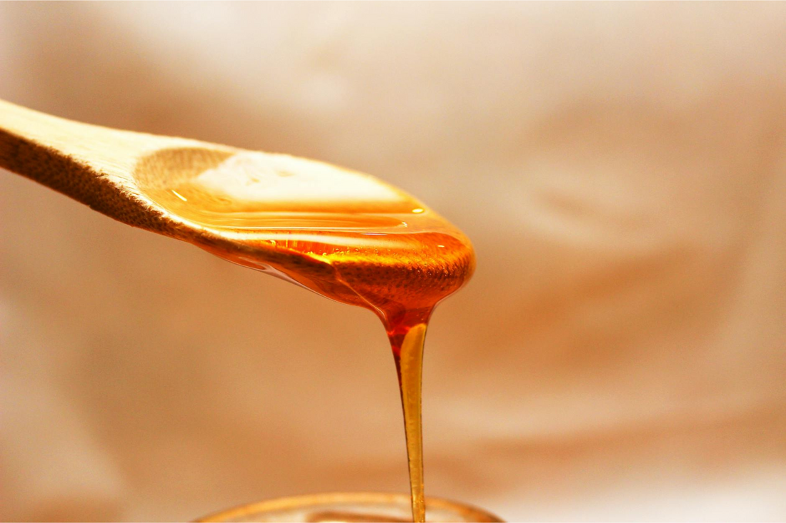 Exploring the Power of Herbal Remedies: Nature’s Medicine Cabinet